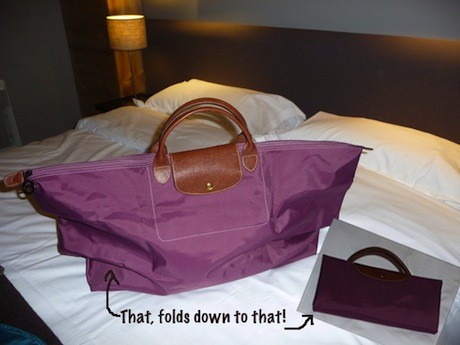 Longchamp travel bag