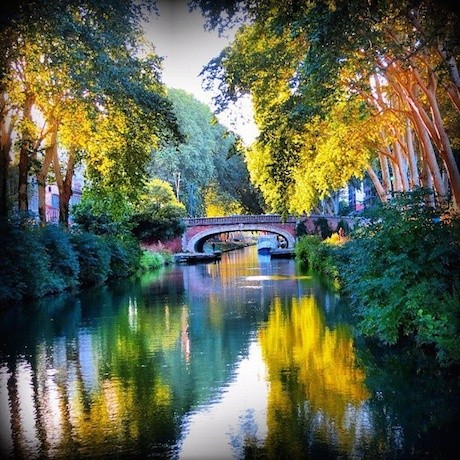 Canal du Midi in beautiful light