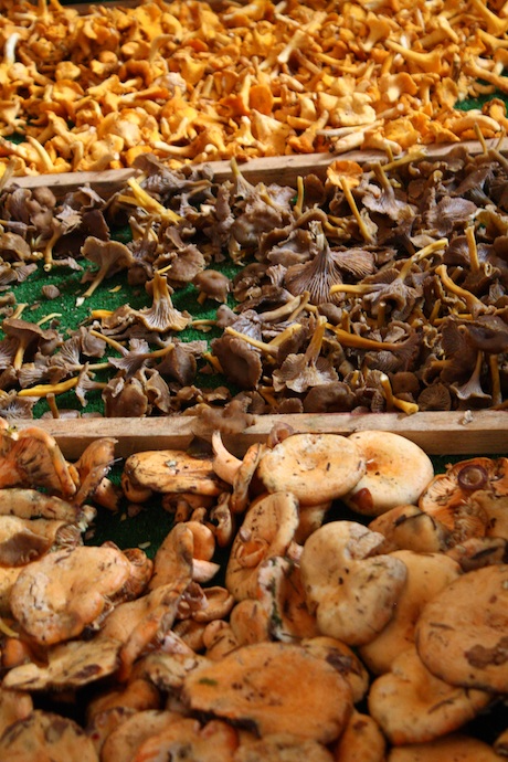Wild mushrooms at a Paris market