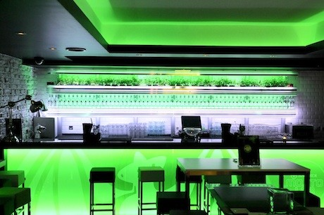 Taste a range of rum concoctions at the Bacardi Mojito Lab in the 11th Arrondissement of Paris
