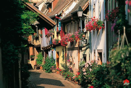 Eguisheim-zoom-fleurs-volet