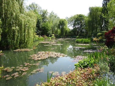 The pond at Giverny, the subject of so much of Monet’s work