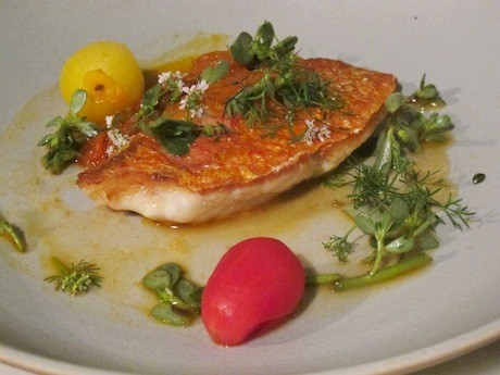 Supremely delicious white fish at Bones.