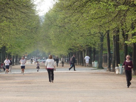The Champ de Mars, Tuileries and the Luxembourg Gardens are all popular spots for running in Paris