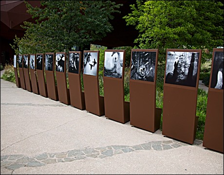 Work is displayed outdoors at Photoquai, in the gardens of the Musée du Quai Branly
