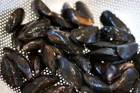 Mussels used in moules à la crème
